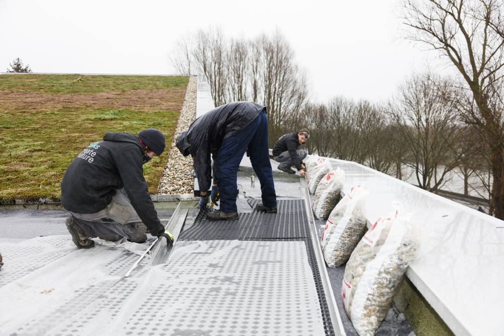 Optigrün Benelux intensief groendak