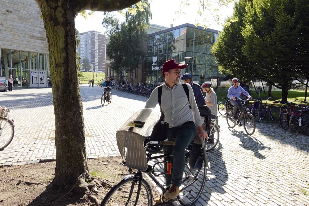 fotoreportage rotterdamse daken