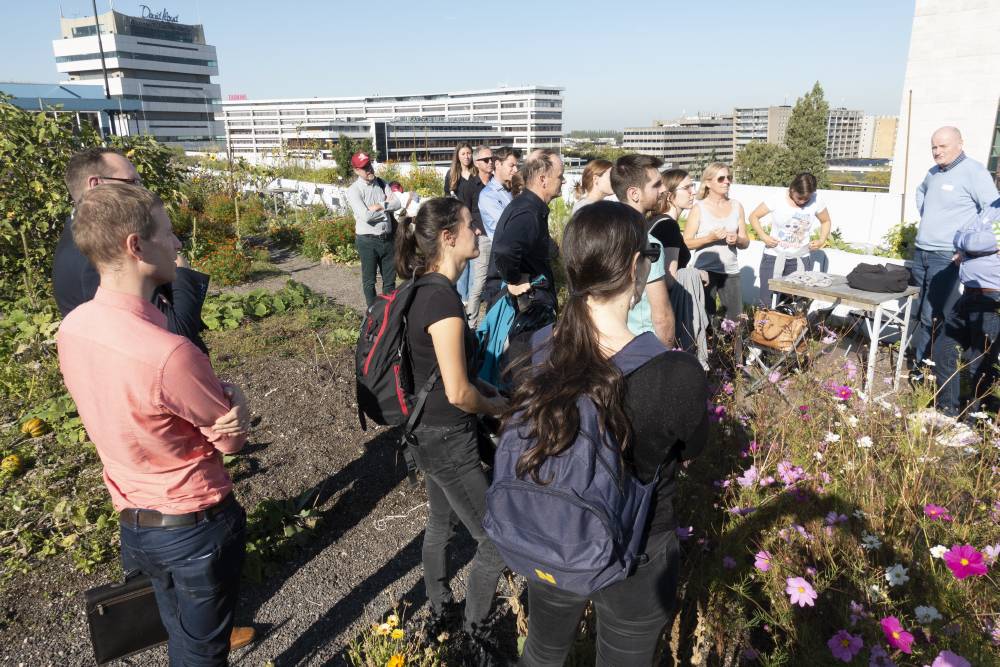 fotoreportage rotterdamse daken