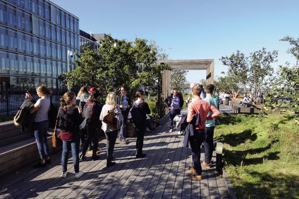 fotoreportage rotterdamse daken