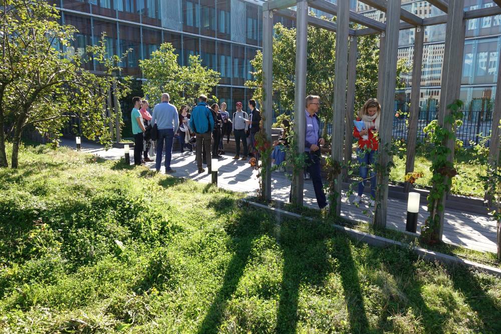 fotoreportage rotterdamse daken