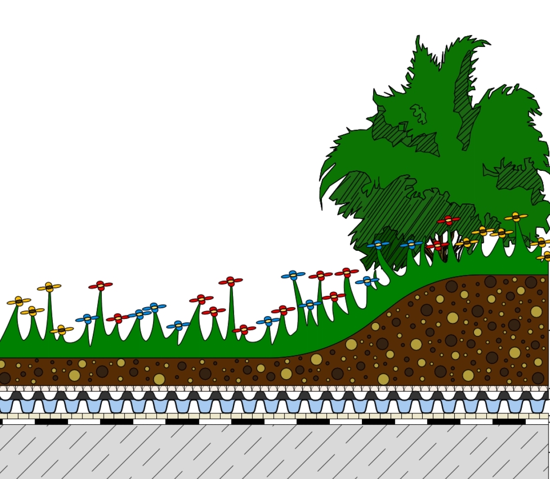 opbouw-groendak