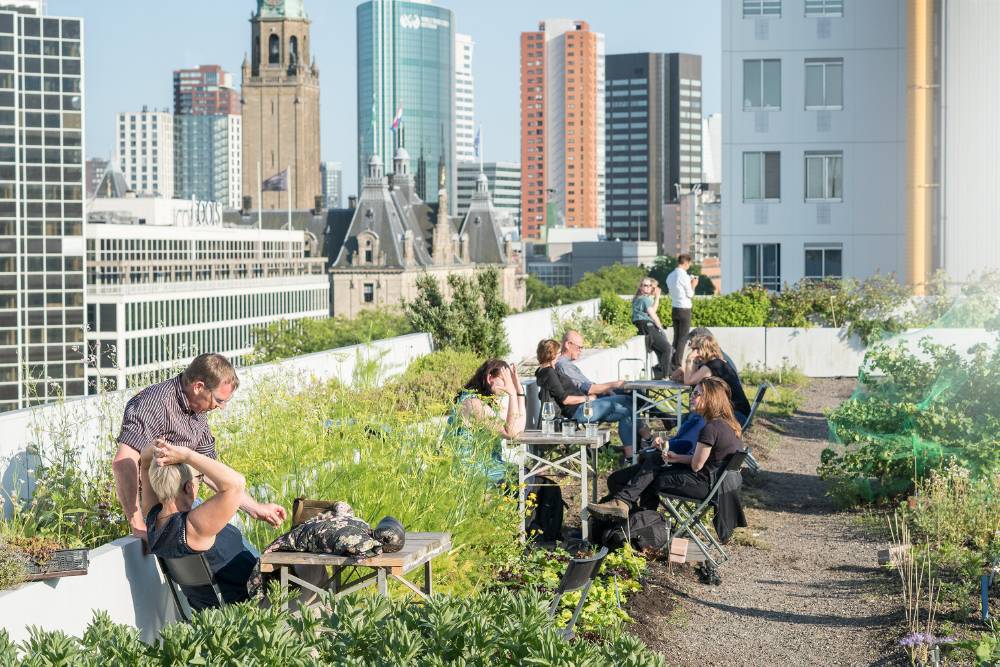 vusreis Rotterdamse daken