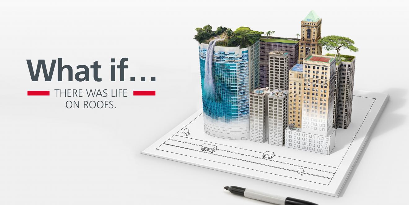 life-on-roofs