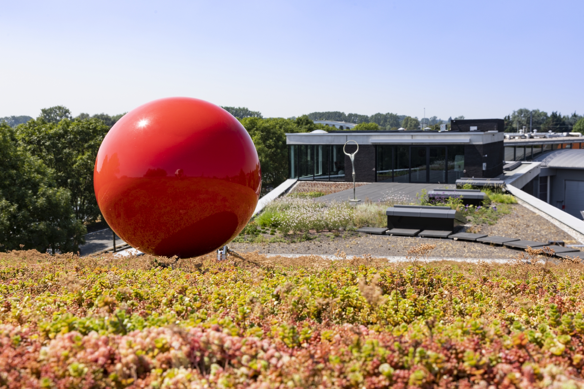 Groen Dak Claerhout Communicatiehuis