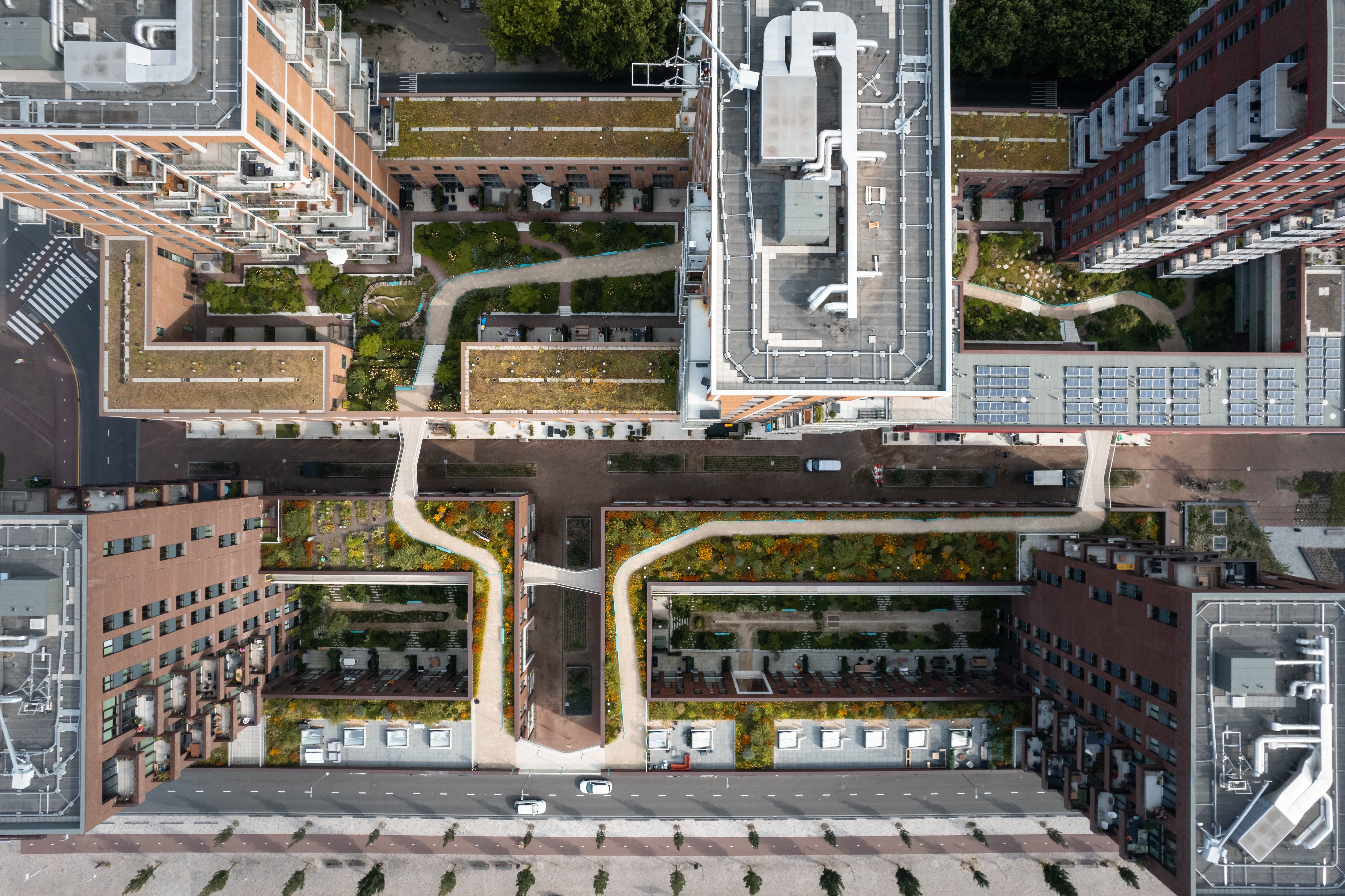 Groen Kaap Rotterdam De Vijfde Gevel