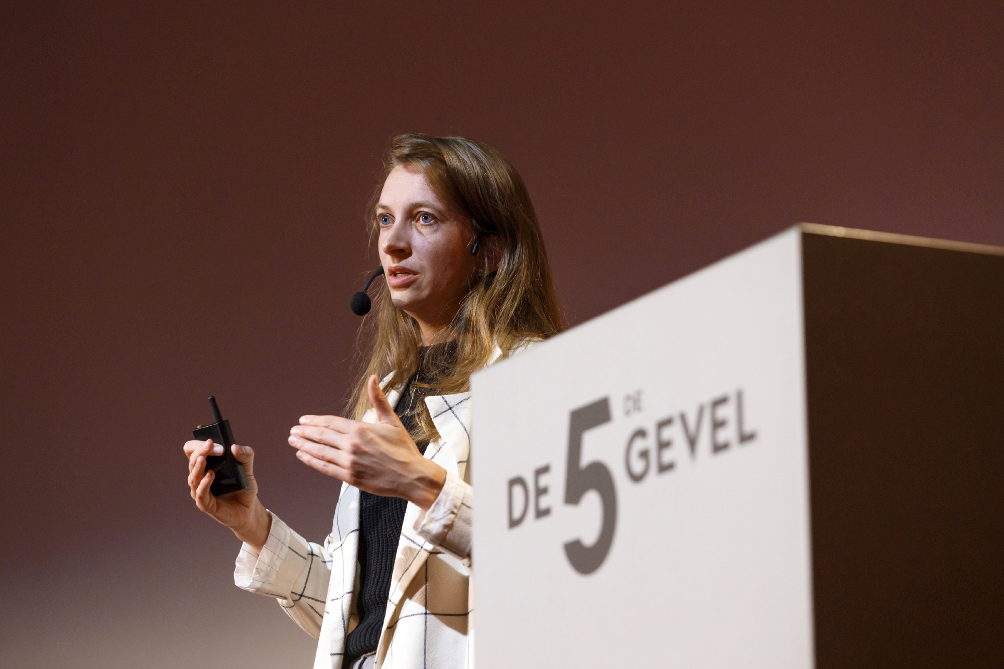 Sanne van Manen De Vijfde Gevel